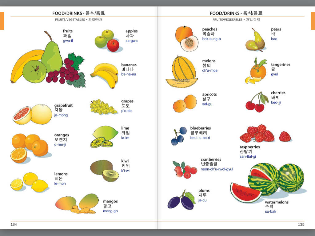 Visual Phrase Book Korean